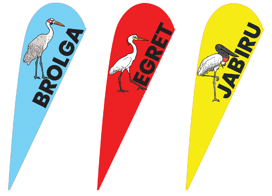 3 flags.PNG